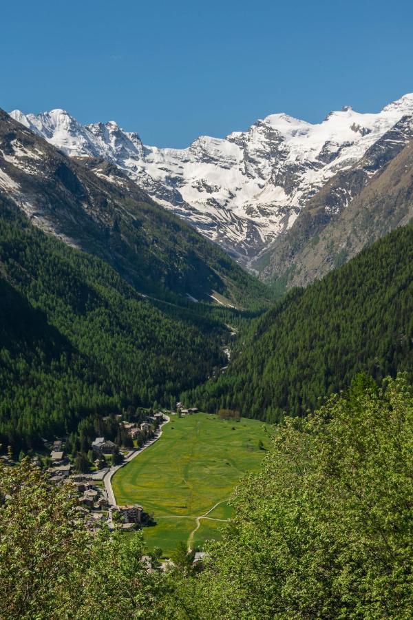 Nido Delle Aquile Apartman Cogne Kültér fotó